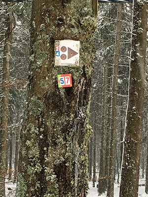 Hike in Vosges. Route 5 and 7 Hike in Vosges. Route 5 and 7
