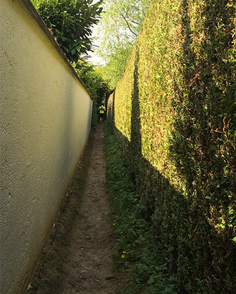 Narrow Allet_Lowres
