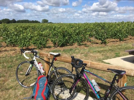 Cycling in La Loire. Wine-growing region Cycling in La Loire. Wine-growing region