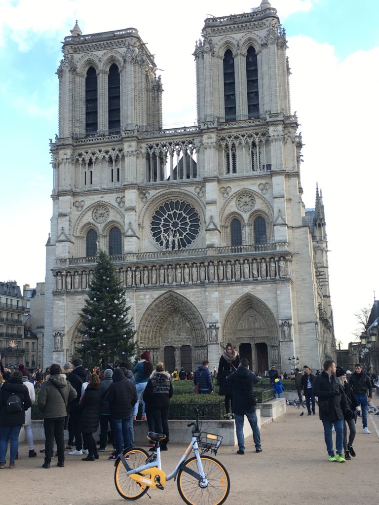 Family Reunion. Notre Dame Cathedral Family Reunion. Notre Dame Cathedral