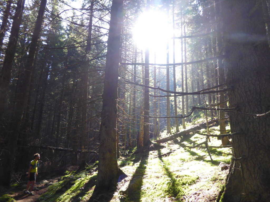 Explore Romania. Retezat Mountains. Through lush green forest. Explore Romania. Retezat Mountains. Through lush green forest.