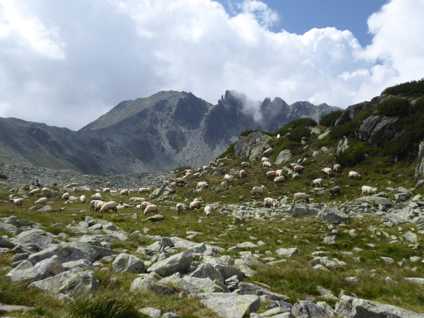 Explore Romania. Retezat Mountains Explore Romania. Retezat Mountains