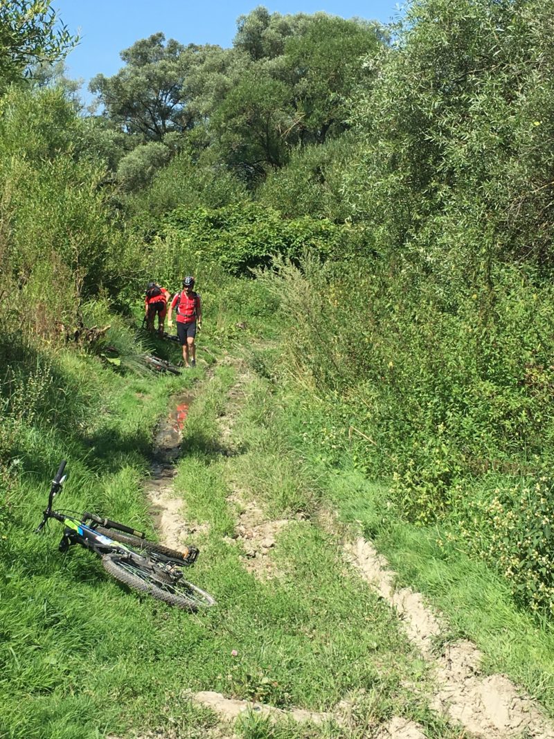 Got lost. Find directions to Meșendorf.