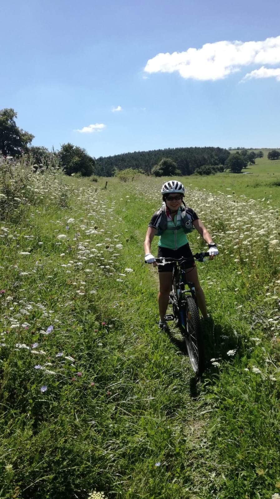 Meadows. Wild flowers.