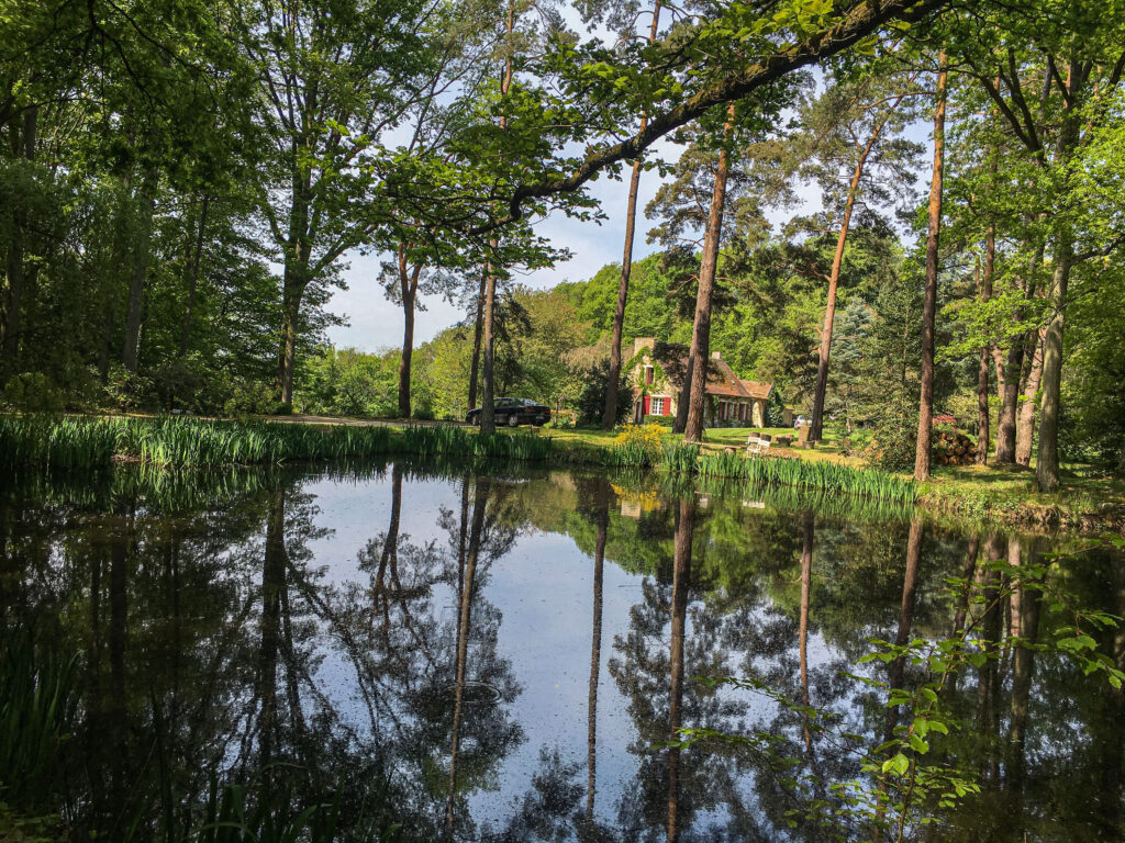Chateau in the forest