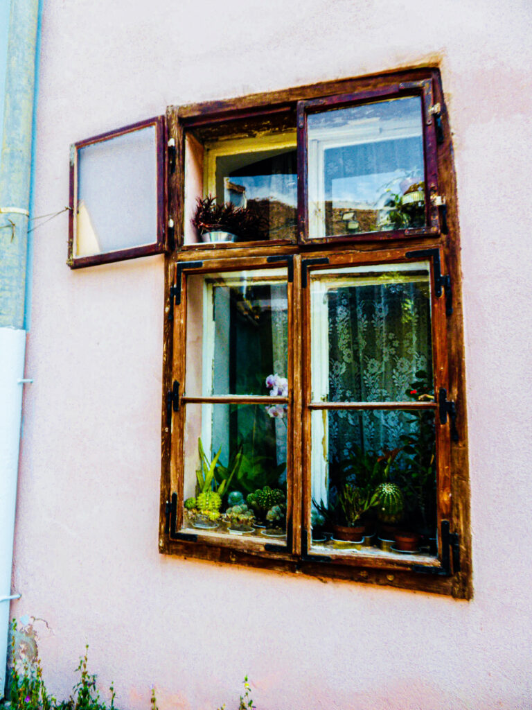 Lacy-curtained windows decorated with pots of plants.
