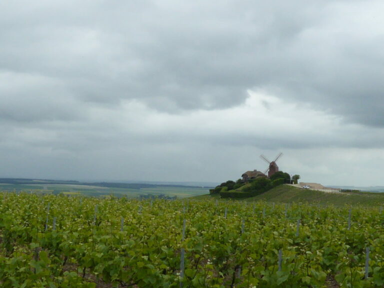 Cloudy Epernay