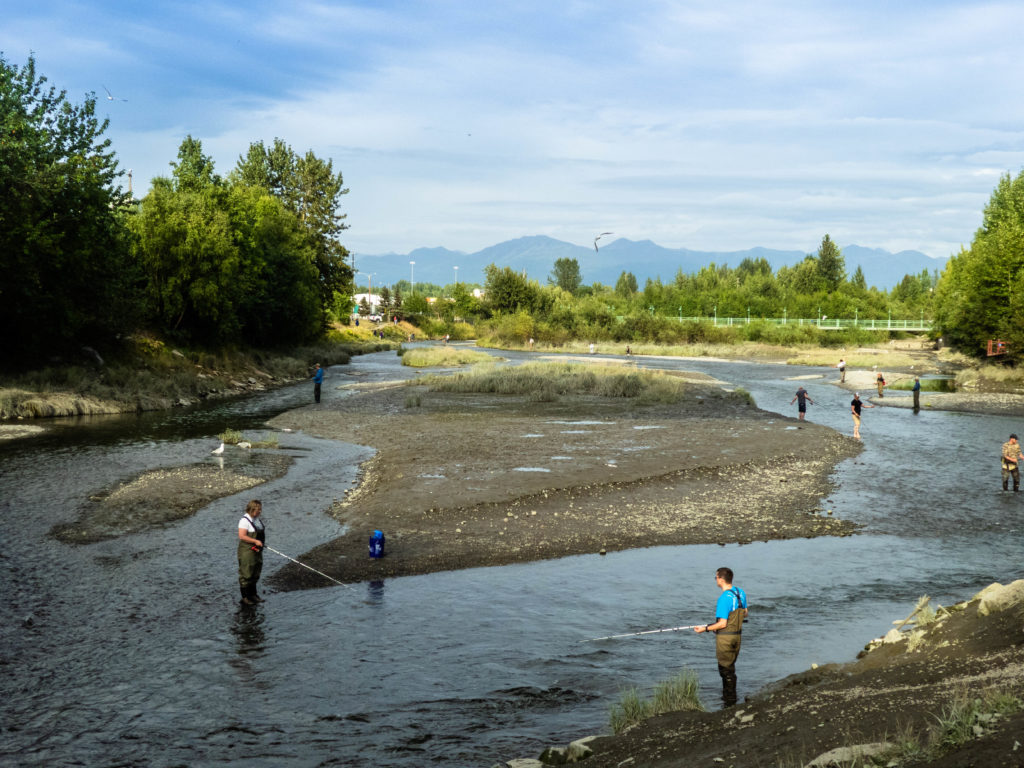 Anchorage Downtown Fishing.