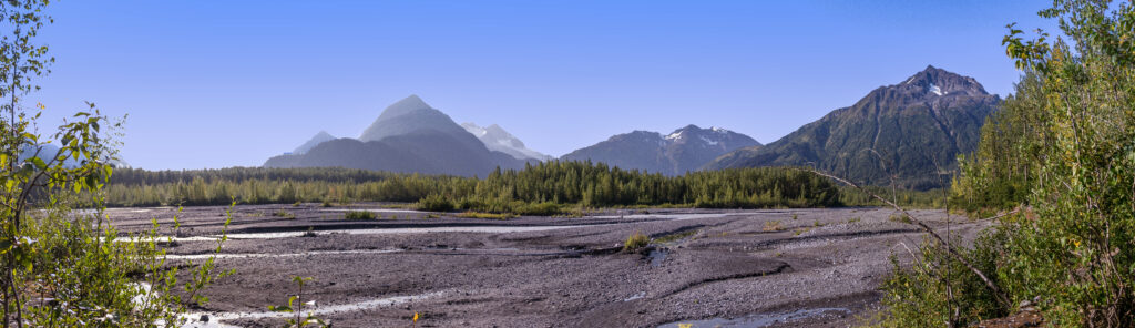 Exit Glacier campground.