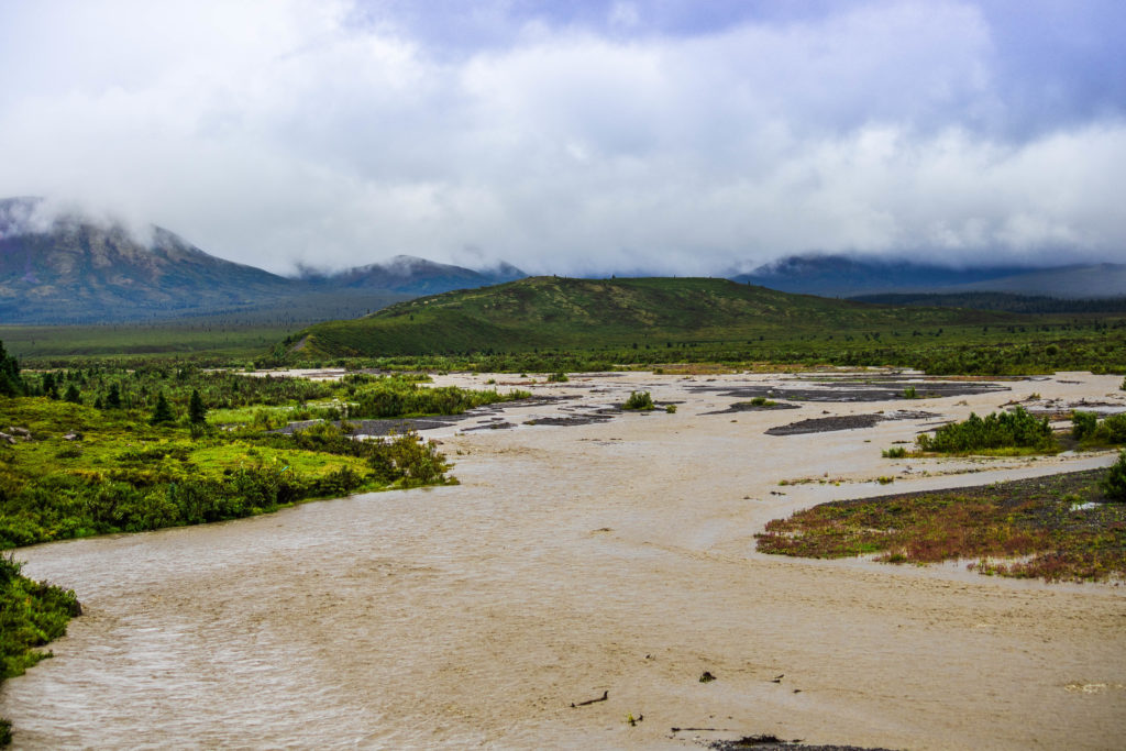Muddy Savage River, Alaska after the overnight torrential rain
