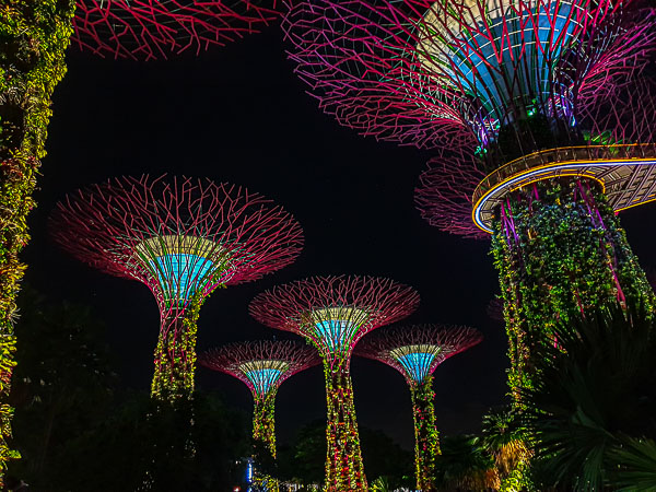 Ep 4 Gardens By The Bay, Singapore