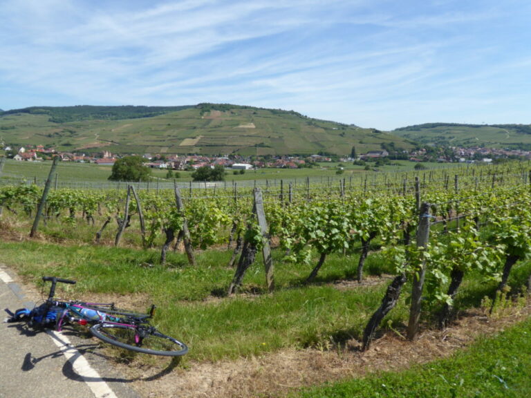 Blue Sky Vineyard Epernay