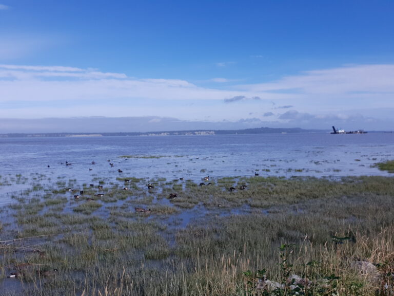 Tony Knowles Coastal Trail.