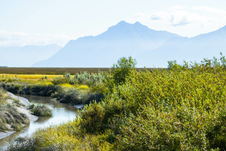 Our first scenic stop at Palmer Hay Flats — State Game Refuge