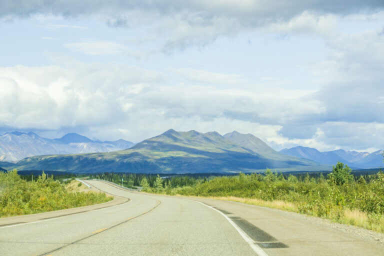 Somewhere along Parks Highway.