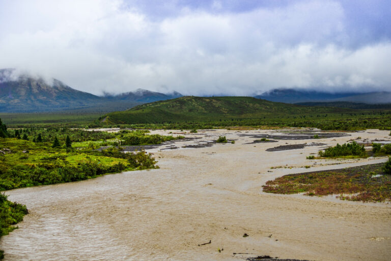 Muddy Savage River after the overnight torrential rain