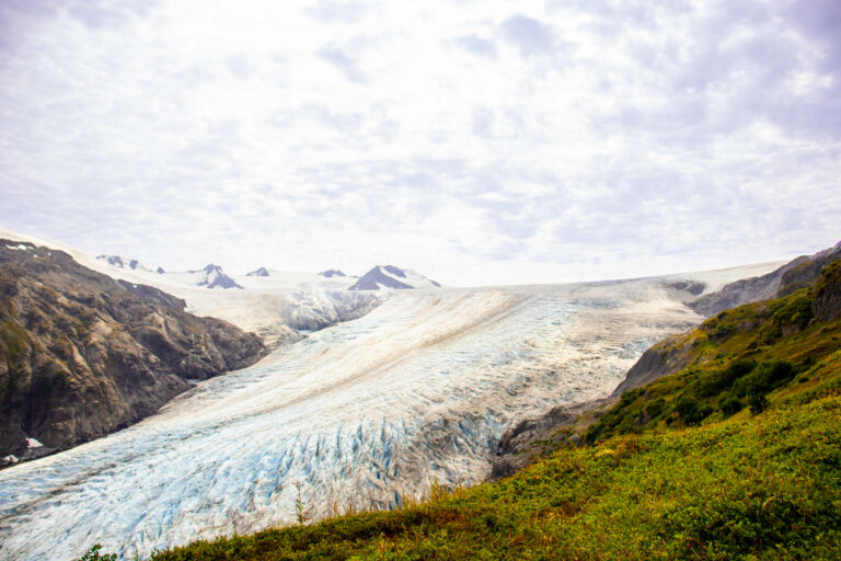 Up Close and Personal with the Exit Glacier.