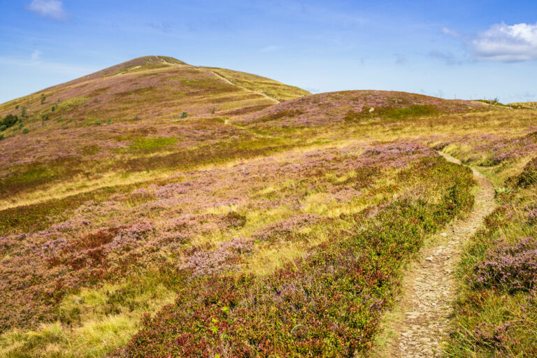 Kruth Rolling Hills