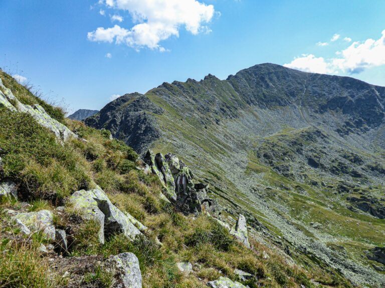 Saddleback of Bucura