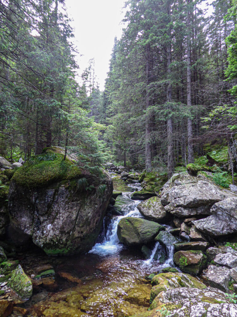 Streams
